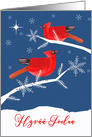 Merry Christmas in Finnish, Hyv Joulua, Cardinal Birds card