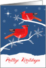 Merry Christmas in Dutch, Prettige Kerstdagen, Cardinal Birds card