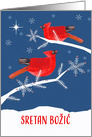 Merry Christmas in Croatian, Cardinal Birds card