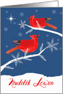 Merry Christmas in Cornish,Nadelik Lowen, Cardinal Birds card