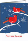Merry Christmas in Bulgarian, Cardinal Birds, Winter Landscape, Star card