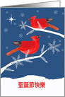 Merry Christmas in Chinese, Cardinal Birds, Winter Landscape, Star card