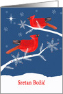 Merry Christmas in Bosnian, Cardinal Birds, Winter Landscape, Star card