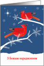 Merry Christmas in Belarusian, Cardinal Birds, Winter Landscape, Star card