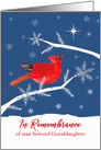 In Remembrance of your beloved Granddaughter, Christmas, Cardinal Bird card