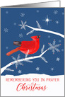 Christian, Remembering You in Prayer at Christmas, Cardinal Bird, Star card