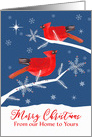 From Our Home to Yours, Christmas, Cardinal Birds, Winter Landscape card