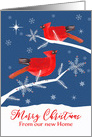 From Our New Home, Christmas, Cardinal Birds, Winter Landscape card