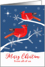 From All Of Us, Merry Christmas, Cardinal Birds, Winter Landscape card