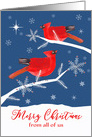 From All Of Us, Corporate, Merry Christmas, Cardinal Birds, Winter card