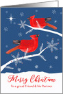 Friend & his Partner, Merry Christmas, Cardinal Birds, Winter card