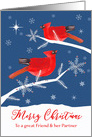 Friend & her Partner, Merry Christmas, Cardinal Birds, Winter card