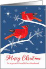 Friend & her Husband, Merry Christmas, Cardinal Birds, Winter card