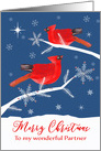 To my wonderful Partner, Merry Christmas, Cardinal Birds, Winter card