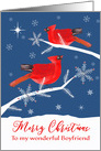 To my wonderful Boyfriend, Merry Christmas, Cardinal Birds, Winter card