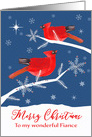 To my wonderful Fiance, Merry Christmas, Cardinal Birds, Winter card