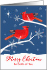 To Both of You, Merry Christmas, Cardinal Birds, Winter card