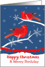 Birthday on Christmas Eve, Cardinal Birds, Winter Landscape card