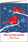 Dear Twin, Merry Christmas, Cardinal Bird, Winter Landscape card