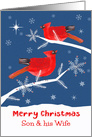 Son and his Wife, Merry Christmas, Cardinal Bird, Winter Landscape card