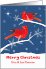 Son and his Fiancee, Merry Christmas, Cardinal Bird, Winter Landscape card