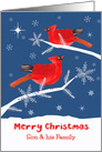 Son and his Family, Merry Christmas, Cardinal Bird, Winter Landscape card