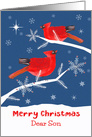 Dear Son, Merry Christmas, Cardinal Bird, Winter card