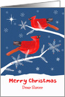 Dear Sister, Merry Christmas, Cardinal Bird, Winter card