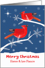 Sister and her Fiance, Merry Christmas, Cardinal Bird, Winter card
