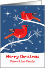 Sister and her Family, Merry Christmas, Cardinal Bird, Winter card