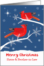 Sister and Brother-in-Law, Merry Christmas, Cardinal Bird, Winter card