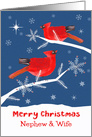 Nephew and his Wife, Merry Christmas, Cardinal Bird, Winter card