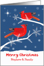 Nephew and his Family, Merry Christmas, Cardinal Bird, Winter card