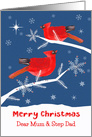 Mum and Step Dad, Merry Christmas, Cardinal Bird, Winter card