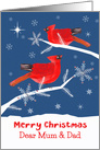 Mum and Dad, Merry Christmas, Cardinal Bird, Winter card