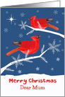 Dear Mum, Merry Christmas, Cardinal Bird, Winter card