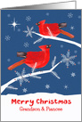 Grandson and his Fiancee, Merry Christmas, Cardinal Bird, Winter card