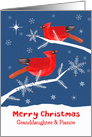 Granddaughter and her Fiance, Merry Christmas, Cardinal Bird, Winter card