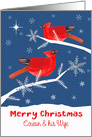 Cousin and his Wife, Merry Christmas, Cardinal Bird, Winter card