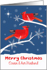 Cousin and her Husband, Merry Christmas, Cardinal Bird, Winter card