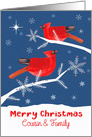 Cousin and Family, Merry Christmas, Cardinal Bird, Winter card