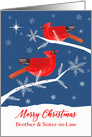 Brother and Sister-in-Law, Merry Christmas, Cardinal Bird, Winter card