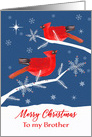 To my Brother, Merry Christmas, Cardinal Bird, Winter card