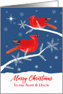 Aunt and Uncle, Merry Christmas, Cardinal Bird, Winter card