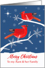 Aunt and her Family, Merry Christmas, Cardinal Bird, Winter card