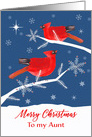 To my Aunt, Merry Christmas, Cardinal Bird, Winter card