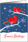 Season’s Greetings, Cardinal Bird, Winter Landscape, Star card