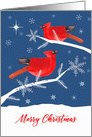 Merry Christmas, Cardinal Bird, Winter Landscape, Star card