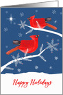 Happy Holidays, Cardinal Bird, Winter Landscape, Star card