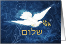 Shalom, Peace in Hebrew, Vintage Dove, Olive Branch card